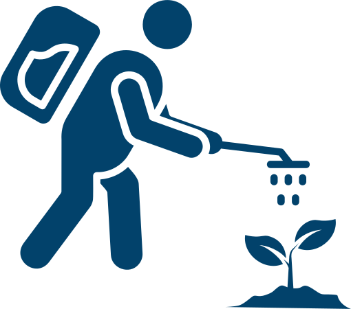 Person watering a small plant